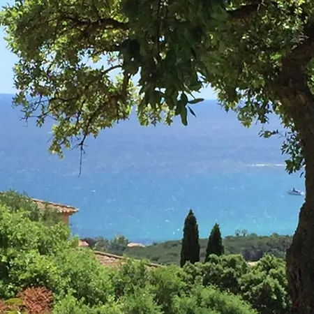 Happy View Villa